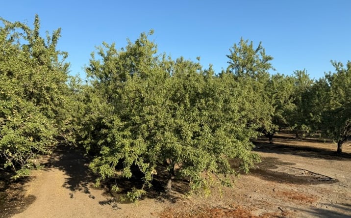 Pictures of Land property located at 4032 W INYO AVE, TULARE, CA 93274-9766 for sales - image #1