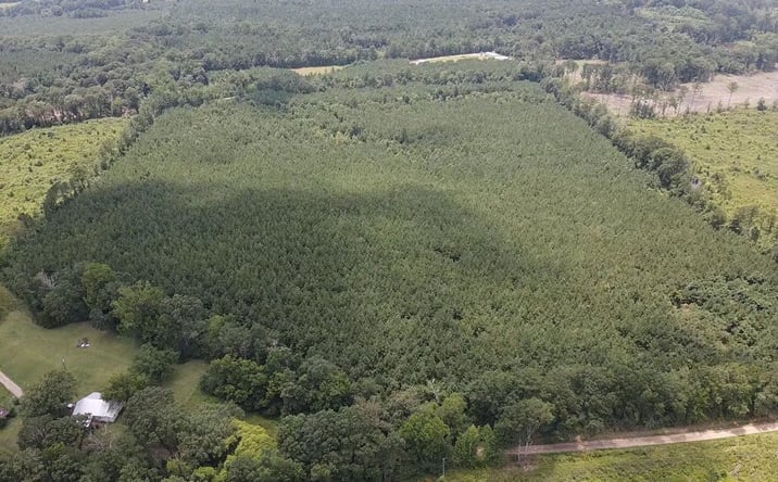 Pictures of Land property located at County Road 131-B, 70235, MS 39117 for sales - image #1