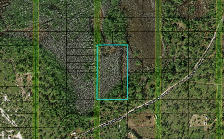 Pictures of Land property located at Holopaw Groves Rd, St. Cloud, FL 34771 for sales - image #1