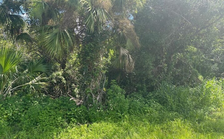 Pictures of Land property located at 3752 Hwy 98 N, Okeechobee, FL 34972 for sales - image #1