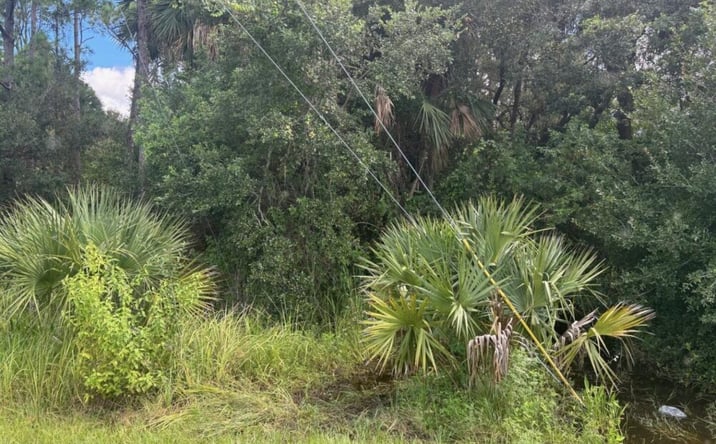 Pictures of Land property located at 3004 Hwy 98 N, Okeechobee, FL 34972 for sales - image #1