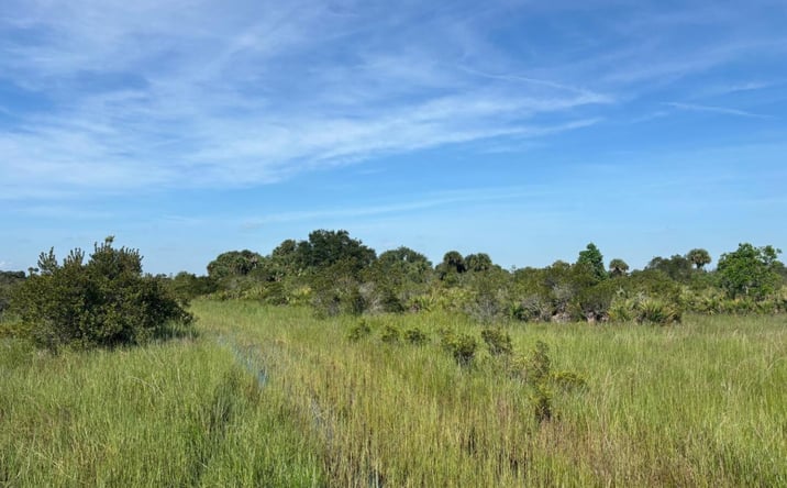 Pictures of Land property located at NW 308th St, Okeechobee, FL 34972 for sales - image #1