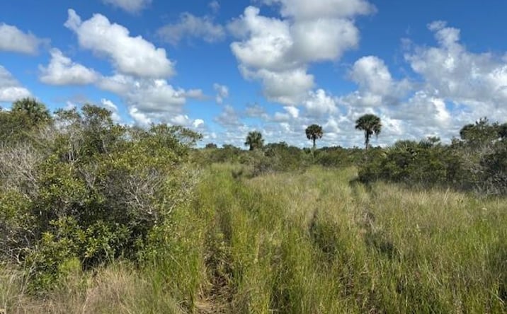 Pictures of Land property located at NW 310th St, Okeechobee, FL 34972 for sales - image #1