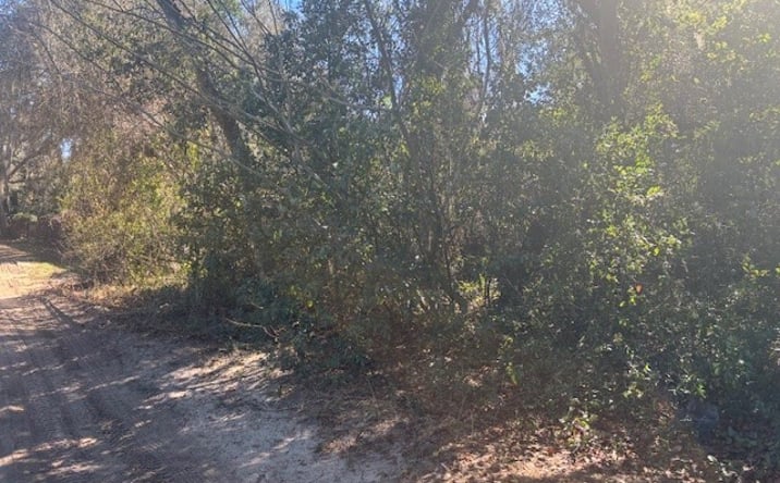 Pictures of Land property located at SE 157th St, Umatilla, FL 32784 for sales - image #1