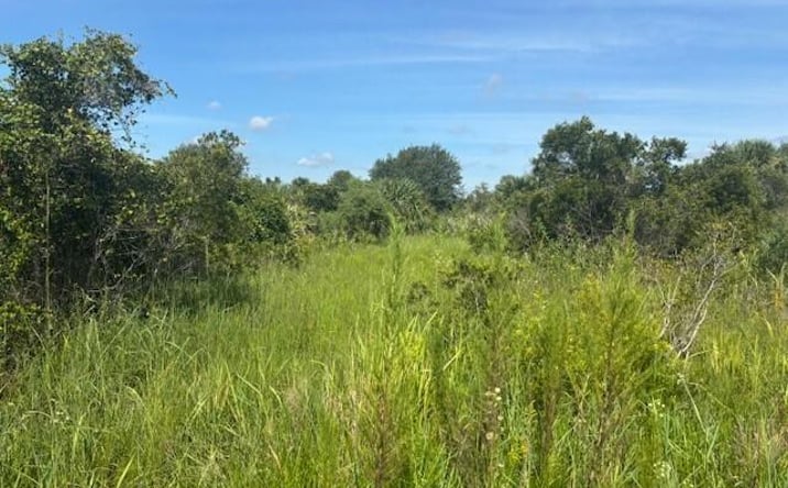 Pictures of Land property located at NW 312th St, Okeechobee, FL 34972 for sales - image #1