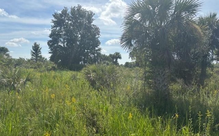 Pictures of Land property located at NW 310th St, Okeechobee, FL 34972 for sales - image #1