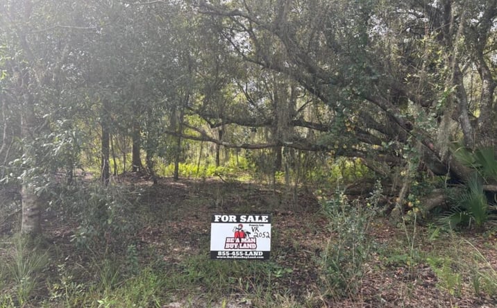 Pictures of Land property located at NW 304th St, Okeechobee, FL 34972 for sales - image #1