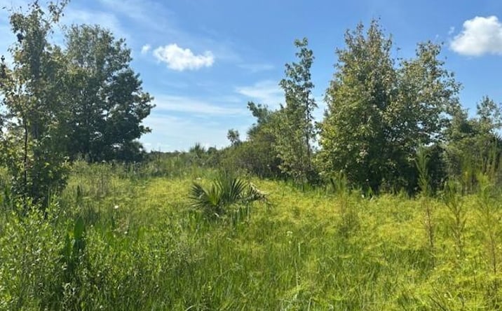 Pictures of Land property located at NW 310th St, Okeechobee, FL 34972 for sales - image #1