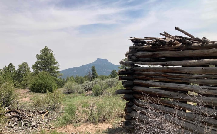 Pictures of Land property located at TBD Forest Road 100 Road, Youngsville, NM 87064 for sales - image #1