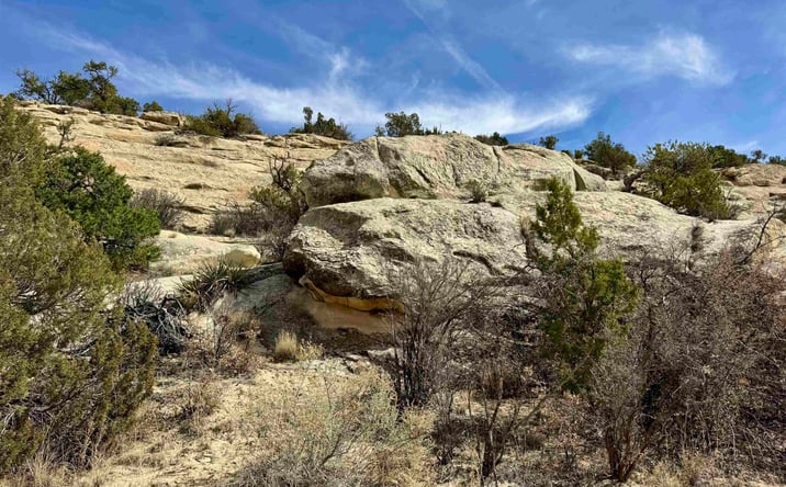 Pictures of Land property located at TBD Highway 117 Highway, Grants, NM 87020 for sales - image #1