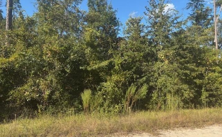 Pictures of Land property located at Mulberry Dr., Marianna, FL 32448 for sales - image #1
