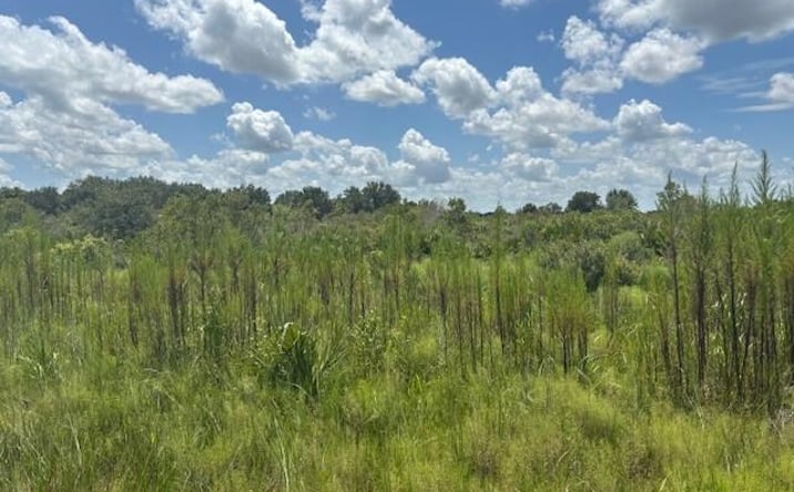 Pictures of Land property located at NW 314th St, Okeechobee, FL 34972 for sales - image #1