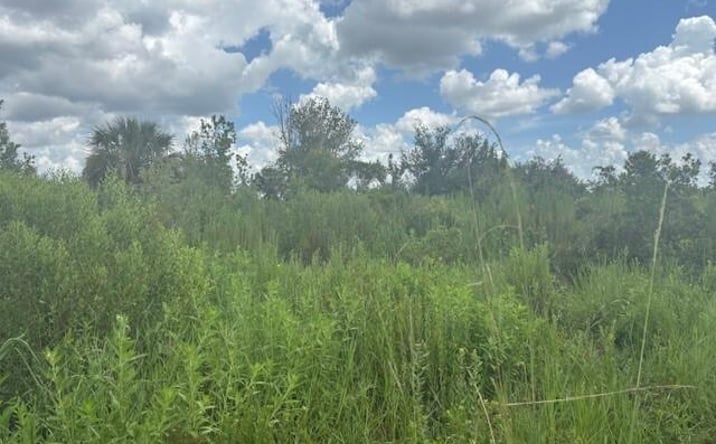 Pictures of Land property located at NW 312th St, Okeechobee, FL 34972 for sales - image #1