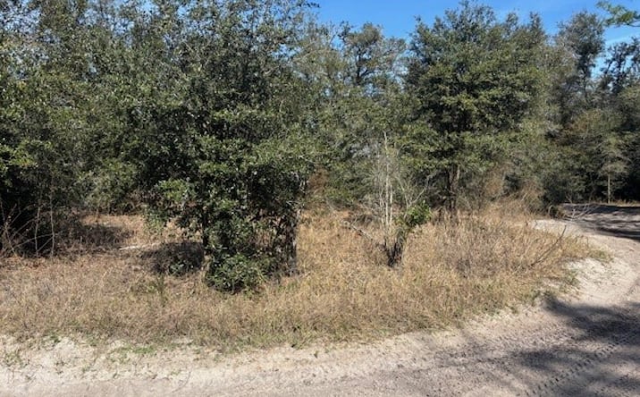 Pictures of Land property located at RB75 Kathleen, Kathleen, FL 33849 for sales - image #1