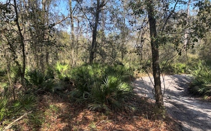 Pictures of Land property located at RB76 Kathleen, Kathleen, FL 33849 for sales - image #1