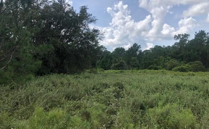 Pictures of Land property located at OPP218 Polk City, Polk City, FL 33868 for sales - image #1