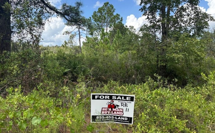 Pictures of Land property located at Kathleen, Kathleen, FL 33849 for sales - image #1