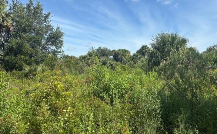 Pictures of Land property located at NW 312th St, Okeechobee, FL 34972 for sales - image #1