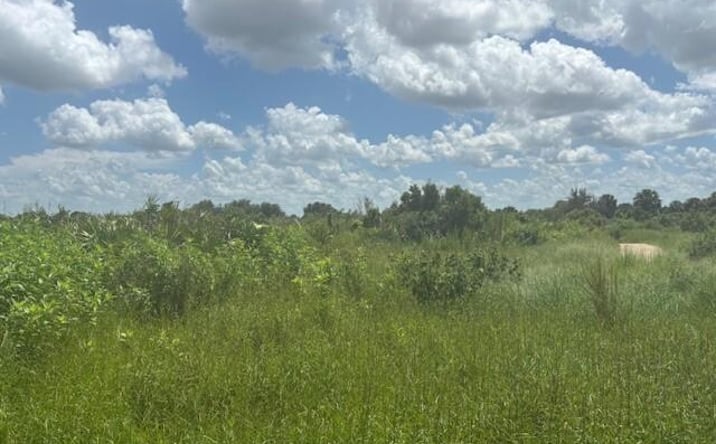 Pictures of Land property located at NW 316th St, Okeechobee, FL 34972 for sales - image #1