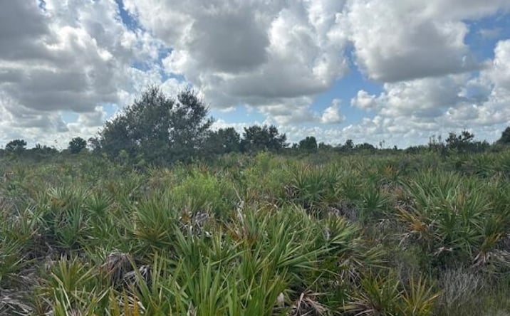 Pictures of Land property located at NW 314th St, Okeechobee, FL 34972 for sales - image #1