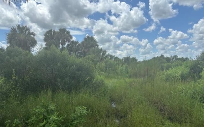 Pictures of Land property located at NW 316th St, Okeechobee, FL 34972 for sales - image #1