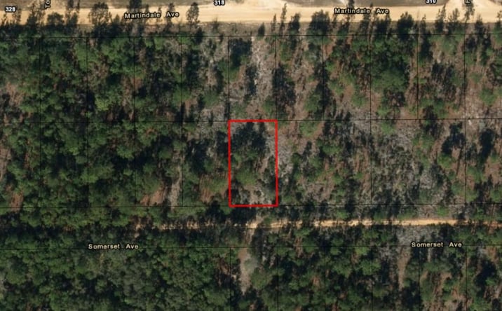 Pictures of Land property located at Somerset Ave, Interlachen, FL 32148 for sales - image #1