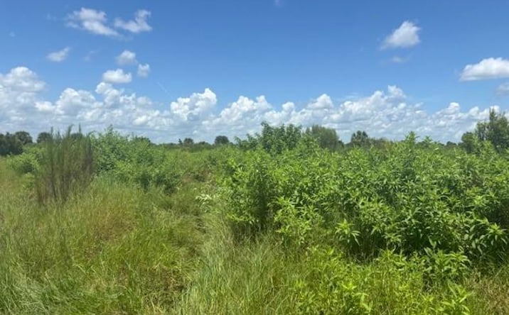 Pictures of Land property located at NW 318th St, Okeechobee, FL 34972 for sales - image #1