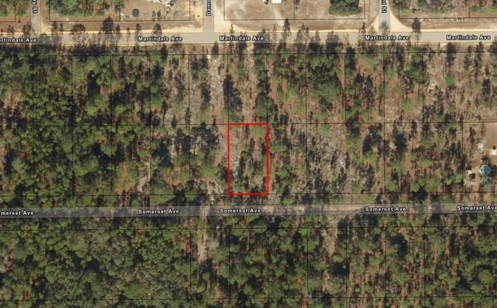 Pictures of Land property located at Somerset Ave, Interlachen, FL 32148 for sales - image #1