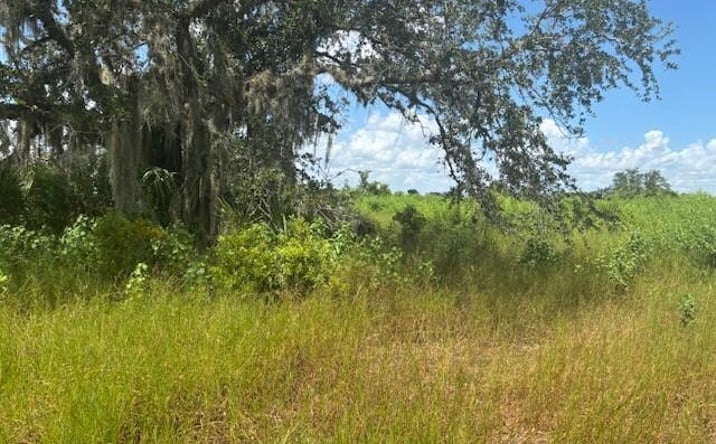 Pictures of Land property located at NW 316th St, Okeechobee, FL 34972 for sales - image #1