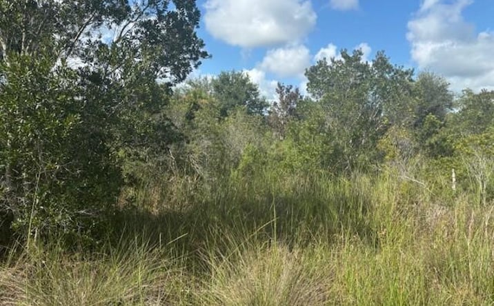 Pictures of Land property located at NW 316th St, Okeechobee, FL 34972 for sales - image #1