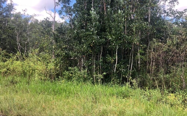 Pictures of Land property located at SWEET HILL ROAD, Polk City, FL 33868 for sales - image #1