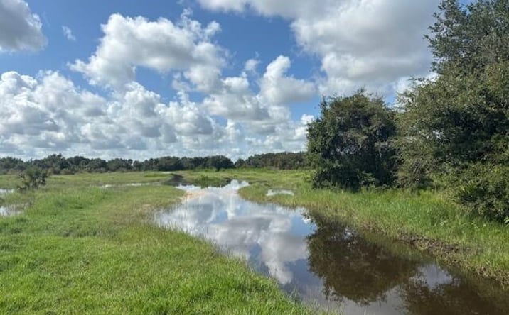 Pictures of Land property located at NW 316th St, Okeechobee, FL 34972 for sales - image #1