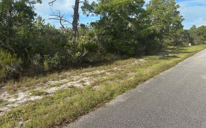 Pictures of Land property located at 635 Boylston St., Lake Placid, FL 33852 for sales - image #1