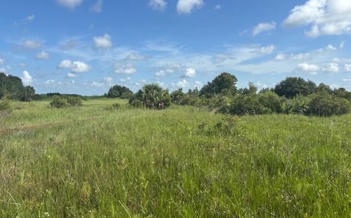 Pictures of Land property located at NW 318th St, Okeechobee, FL 34972 for sales - image #1