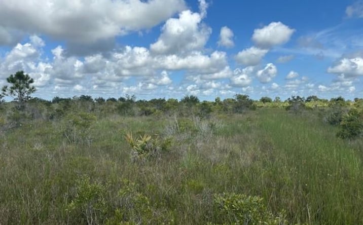 Pictures of Land property located at NW 318th St, Okeechobee, FL 34972 for sales - image #1