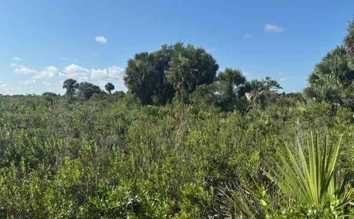Pictures of Land property located at NW 316th St, Okeechobee, FL 34972 for sales - image #1
