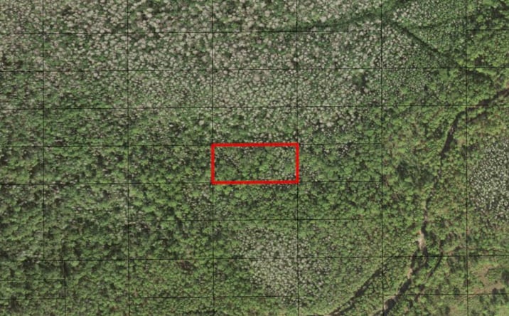 Pictures of Land property located at Holopaw Groves Rd, Osceola, FL 34772 for sales - image #1