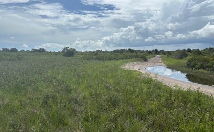Pictures of Land property located at NW 308th St, Okeechobee, FL 34972 for sales - image #1
