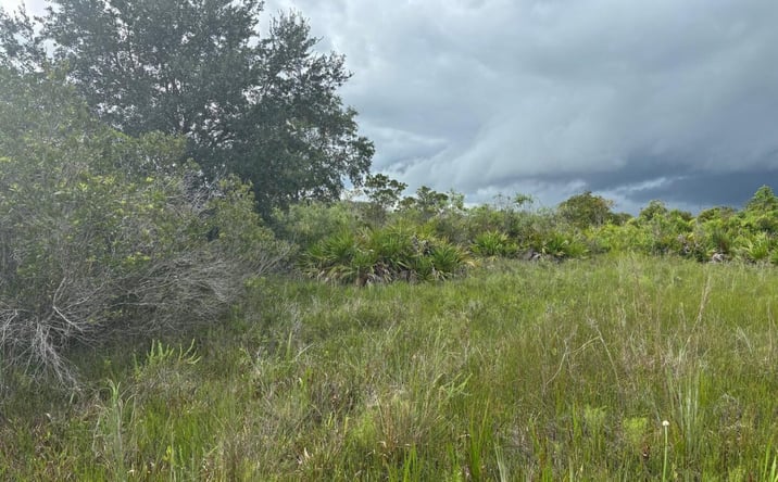 Pictures of Land property located at NW 312th St, Okeechobee, FL 34972 for sales - image #1