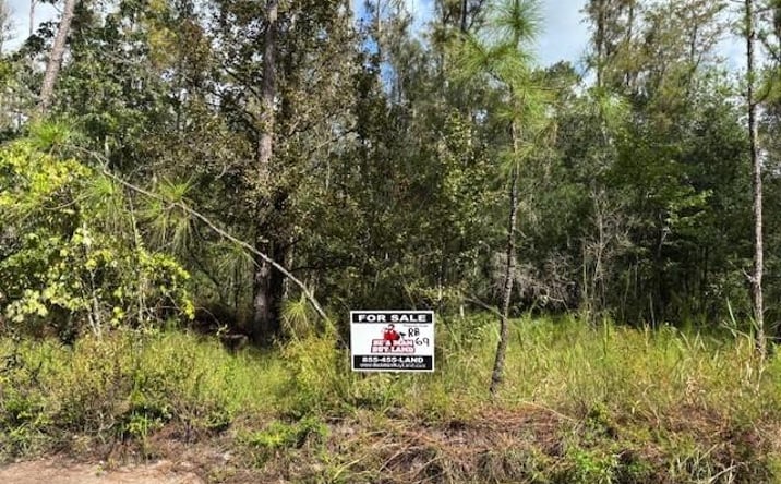Pictures of Land property located at KATHLEEN, FL 33849, Kathleen, FL 33849 for sales - image #1