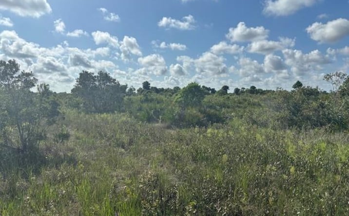 Pictures of Land property located at NW 316th St, Okeechobee, FL 34972 for sales - image #1