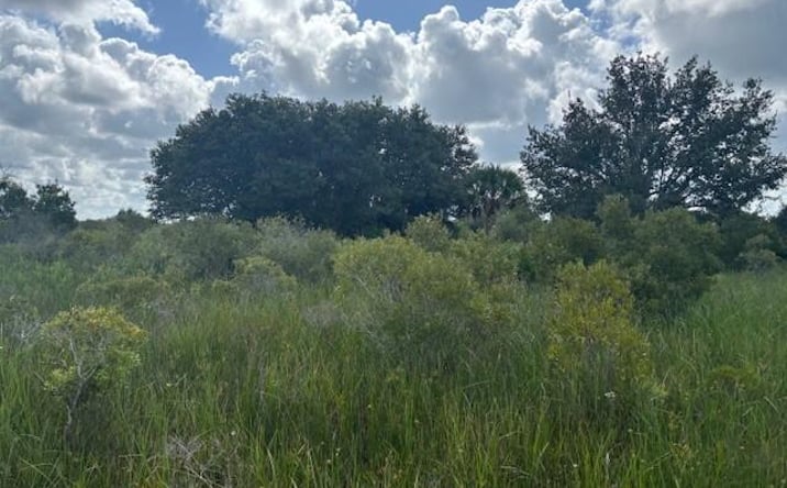 Pictures of Land property located at NW 316th St, Okeechobee, FL 34972 for sales - image #1