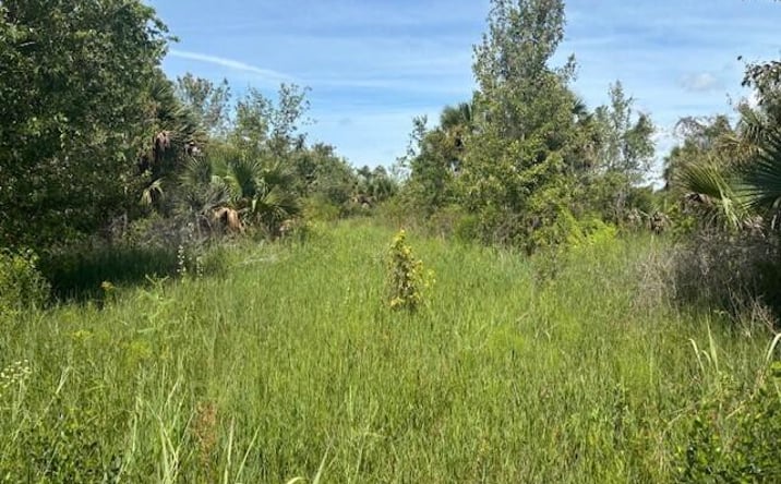 Pictures of Land property located at NW 300TH St., Okeechobee, FL 34972 for sales - image #1