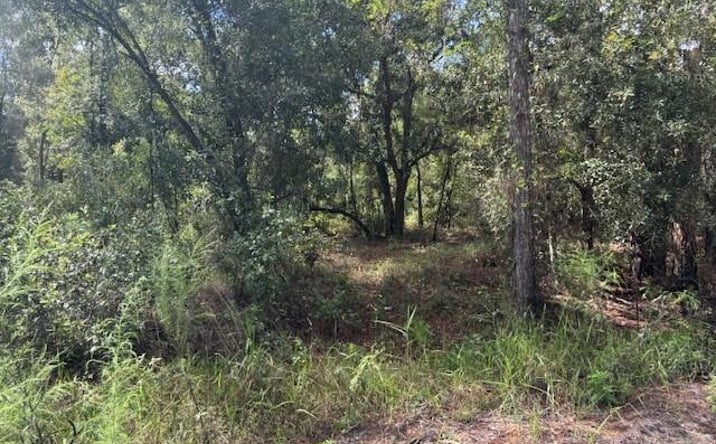 Pictures of Land property located at Kathleen, FL 33849, Kathleen, FL 33849 for sales - image #1