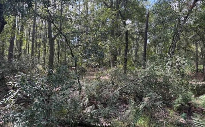Pictures of Land property located at Rancho Bonito, Kathleen, FL 33849 for sales - image #1