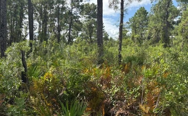 Pictures of Land property located at Frostproof, FL 33843, Frostproof, FL 33843 for sales - image #1