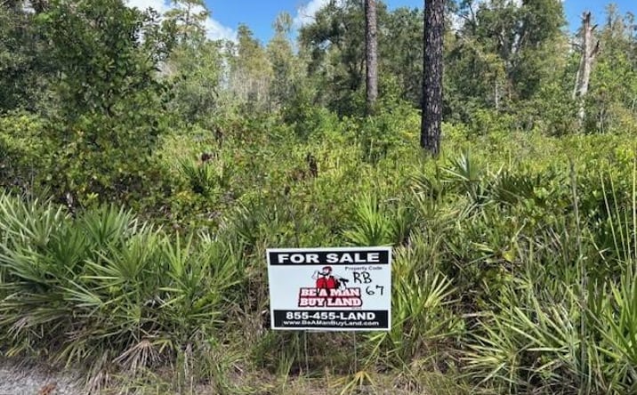 Pictures of Land property located at Kathleen, FL 33849, Kathleen, FL 33849 for sales - image #1