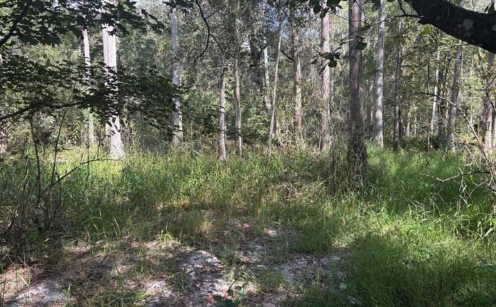 Pictures of Land property located at Kathleen, FL 33849, Kathleen, FL 33849 for sales - image #1
