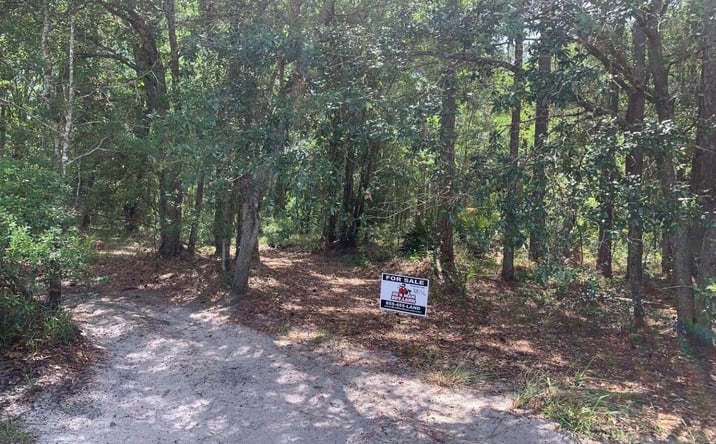 Pictures of Land property located at Old Dade City Rd., Kathleen, FL 33849 for sales - image #1