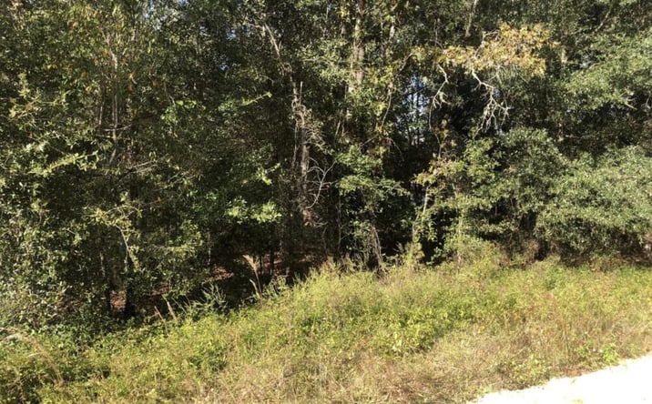 Pictures of Land property located at Evans Ave., Interlachen, FL 32148 for sales - image #1